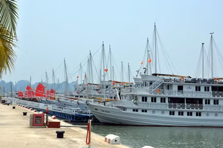 Bến du thuyền Tuần Châu.