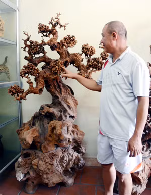 Anh Nguyễn Hồng Lâm với tác phẩm gỗ lũa “Cây bồ đề” có giá hơn 50 triệu đồng do chính anh sáng tạo.