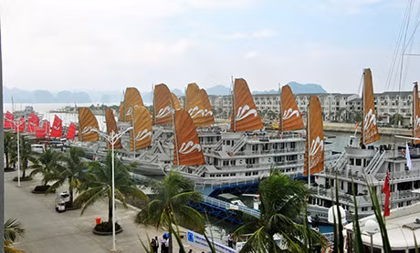 Bến du thuyền Tuần Châu.