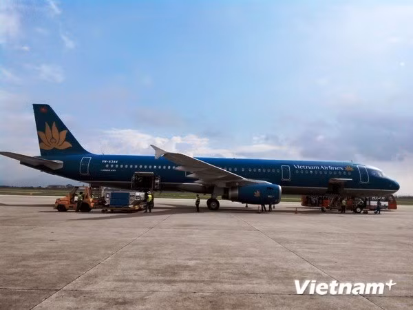 Máy bay của hãng hàng không Vietnam Airlines. (Ảnh minh họa: Việt Hùng/Vietnam+)