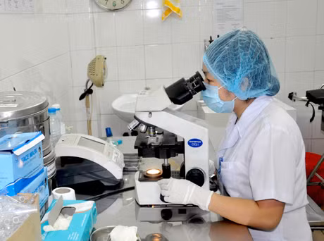 Soi mẫu bệnh phẩm phát hiện bệnh ngoài da tại Trung tâm Phòng chống bệnh xã hội tỉnh. Ảnh: Thu Nguyệt