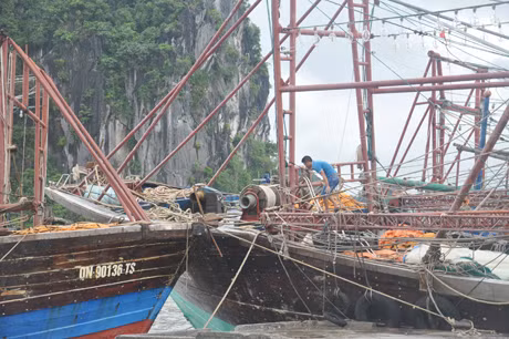 Tàu thueyenf của Vân Đồn