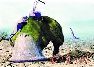 Mô tả ảnh.