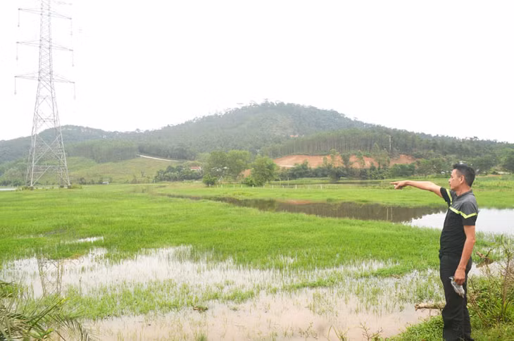 Hơn một thập kỷ, cánh đồng Ba Sào (xã Thống Nhất, huyện Hoành Bồ) ngập trắng nước