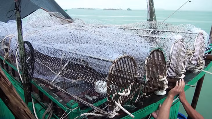Gĩa cào chà đi chà lại với cường lực lớn tại các vùng đáy biển làm xáo trộn tầng đáy, vò nát các cây cỏ biển, hủy hoại các loại sinh vật sống dưới đấy biển