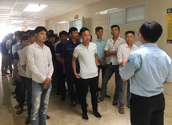 Công ty CP Than Núi Béo tiếp nhận sinh viên khai thác hầm lò về tực tập