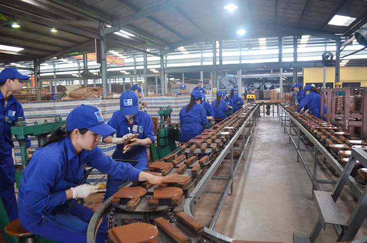 Nhà máy gạch Tiêu giao, Công ty CP Viglacera Hạ Long