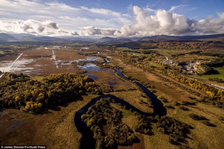  Sông Spey chảy xuyên qua những đầm lầy trong Vườn Quốc gia Cairngorms.