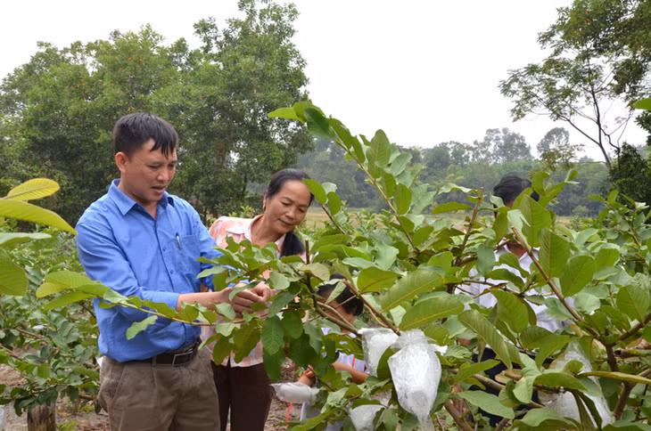 Lãnh đạo MTTQ huyện Hoành Bồ và xã Lê Lợi kiểm tra mô hình vườn mẫu của hộ bà Lê Thị Nụ, thôn Tân Tiến, xã Lê Lợi