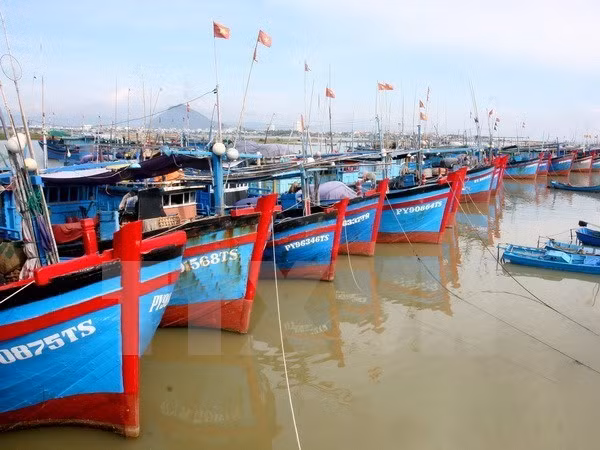 Hình chỉ mang tính minh họa. (Ảnh: TTXVN)