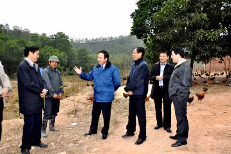 Đồng chí Đặng Huy Hậu, Phó Chủ tịch UBND tỉnh