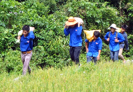 Sinh viên tình nguyện Trường Đại học Công nghiệp Quảng Ninh vận chuyển vật liệu giúp người dân Ba Chẽ làm đường nông thôn.