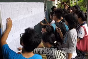 Thí sinh tra kết quả thi tốt nghiệp (Nguồn: TTXVN)