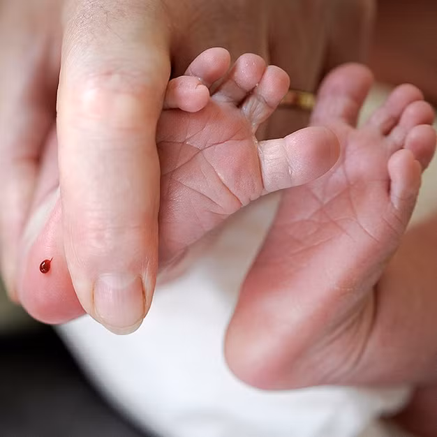 Sàng lọc trước sinh và sàng lọc sơ sinh giúp phát hiện sớm các dị tật của thai nhi. (Ảnh minh họa)