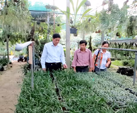Cán bộ Trung tâm Khoa học và Sản xuất lâm nông nghiệp Quảng Ninh giới thiệu về mô hình trồng hoa lan tại Trung tâm. Ảnh: Tư liệu
