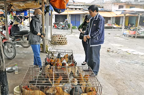 Lãnh đạo Báo Quảng Ninh, thành viên Ban Chỉ đạo phòng chống dịch hại trên cây trồng vật nuôi của tỉnh kiểm tra công tác phòng chống dịch cúm gia cầm tại huyện Hoành Bồ.