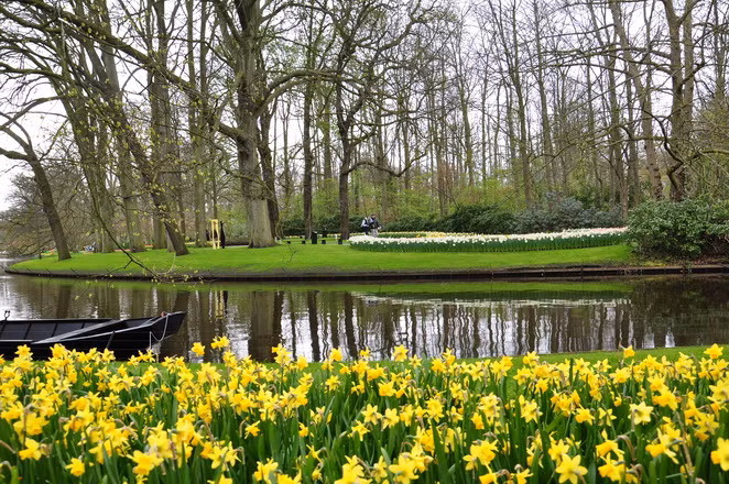 Hoa tulip được trồng rất nhiều ở công viên ở thủ đô Amsterdam, xen lẫn cùng nhiều những vạt hoa khác tạo thành những bức tranh rực rỡ sắc màu.
