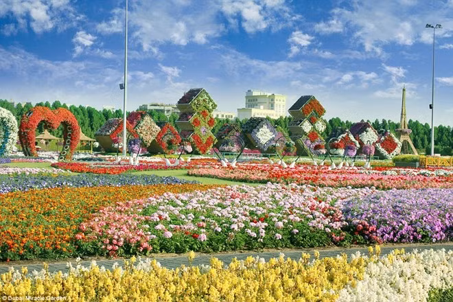 Nơi đây trở thành một ốc đảo đầy màu sắc giữa sa mạc.