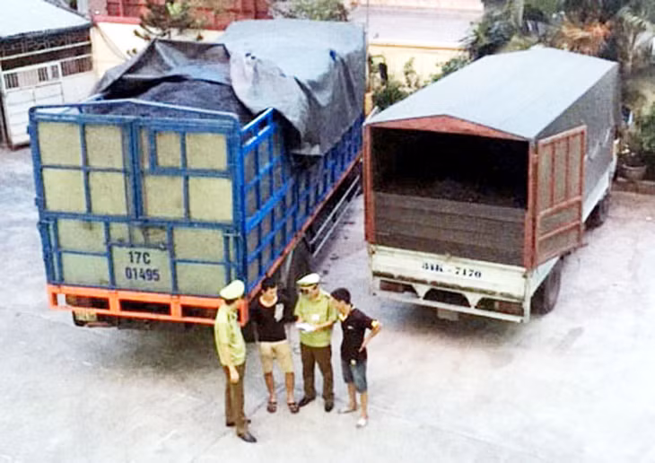 Công an TP Cẩm Phả phối hợp với Đội QLTT số 3 kiểm tra, bắt giữ các phương tiện vận chuyển than trái phép tại Cọc 6 và Km6 trên địa bàn trong tháng 5-2015.