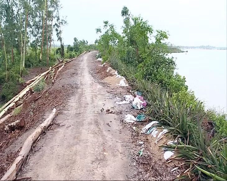 Tuyến đê Hiệp Hoà xuống cấp đang chờ đầu tư tu bổ.