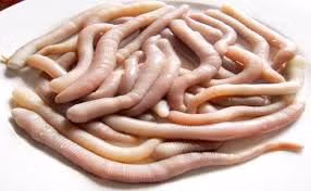 Một loại sá sùng khác.jpg