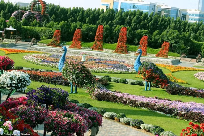 Các thùng nước đổ ra hoa, những động vật xinh đẹp đều xuất hiện trong điểm tham quan đầy sáng tạo này.