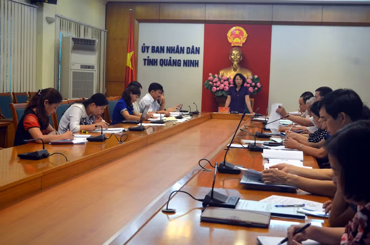 Đồng chí Vũ Thị Thu Thủy, Phó Chủ tịch UBND tỉnh kết luận cuộc họp.