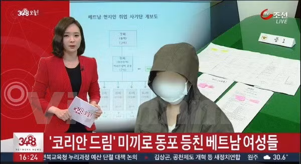 Kênh truyền hình Chosun TV, Hàn Quốc đưa tin về vụ việc trên ngày 23/6. (Ảnh: Phạm Duy/Vietnam+)