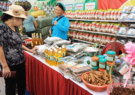 Sản phẩm OCOP của huyện Bình Liêu bày bán tại Hội chợ OCOP Quảng Ninh 2015. Ảnh: Đại Dương