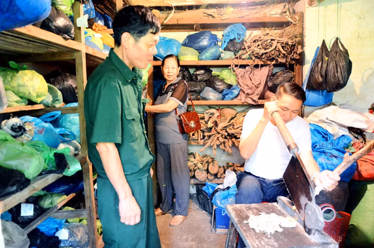 Sản xuất thuốc lá tắm tại gia đình CCB Lỷ Say Phún, thôn Làng Ngang, xã Quảng An.