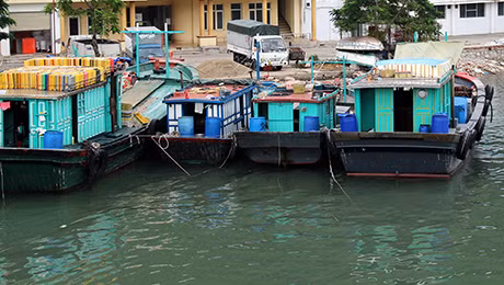 Ảnh minh họa