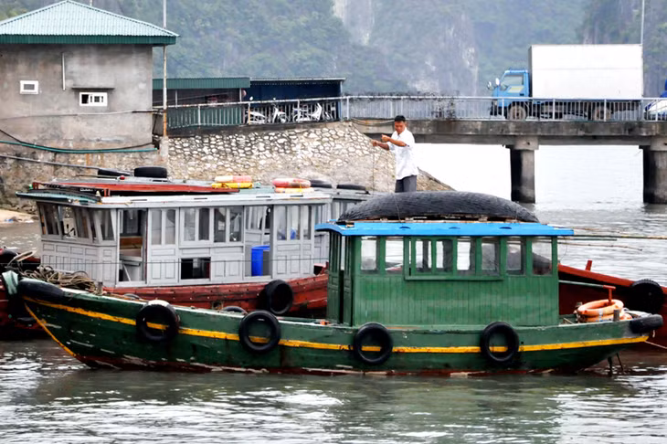 Phương tiện tàu thuyền trên Vịnh Hạ Long đang tổ chức di chuyển đến nơi tránh trú an toàn.