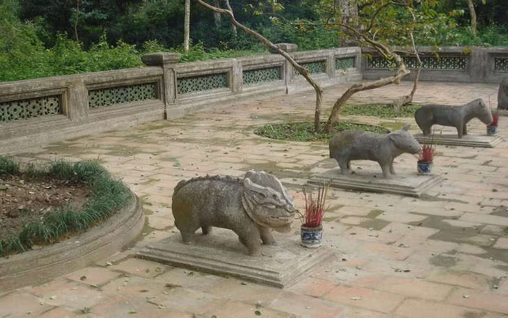 Cây ổi trong Lăng