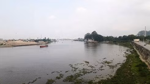 Dự án kè đê Hữu sông Đáy đoạn qua TP Ninh Bình.