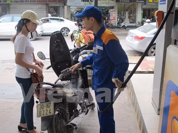 Ảnh minh họa. (Nguồn: Vietnam+)