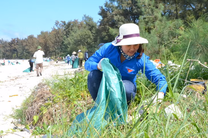 Với tinh thần bảo vệ môi trường biển, từng bụi cỏ cũng được những người tham gia thu dọn kỹ lưỡng để trả lại môi trường trong sạch cho toàn bộ bãi biển Minh Châu