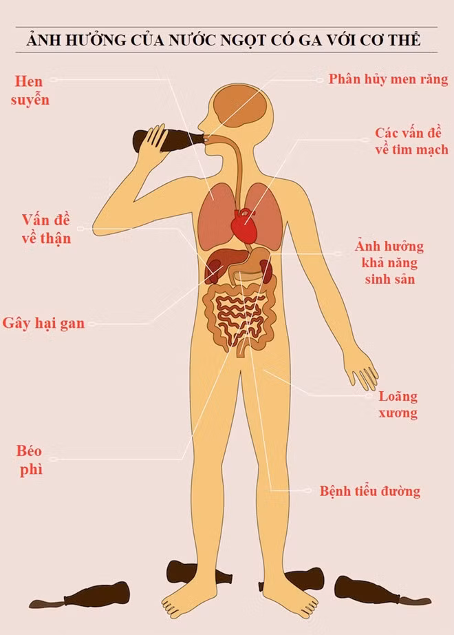 Uống nước ngọt có ga thường xuyên sẽ gây ra những tác hại lâu dài cho cơ thể. Ảnh: Dailyinfographic.