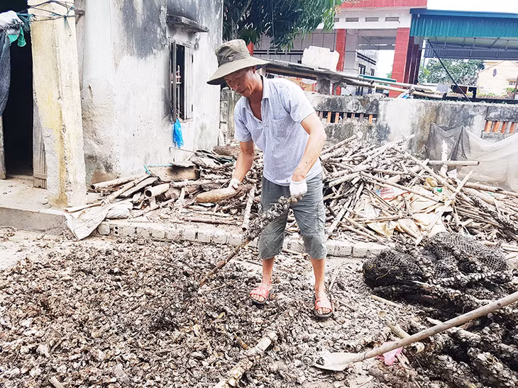 Ngư dân Quảng Yên chuyển đổi nghề từ khai thác thủy sản ven bờ sang nuôi hà treo dây. Ảnh: Phạm Tuyết (Trung tâm TT-VH Quảng Yên)