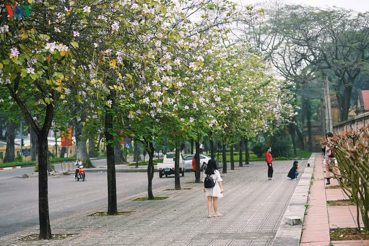 Mùa hoa ban, con đường Bắc Sơn trở nên nhộn nhịp khi người dân đến ghi lại những khoảnh khắc đẹp của mùa xuân.