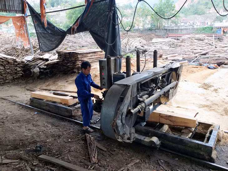 Xưởng chế biến gỗ của Công ty TNHH MTV Lâm nghiệp Vân Đồn góp phần đáp ứng tốt nhu cầu tiêu thụ lâm sản trên địa bàn