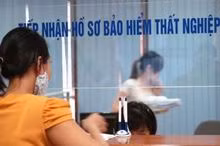 Trường hợp công ty không lập Quyết định nghỉ việc thì hợp đồng lao động là thủ tục làm căn cứ giải quyết trợ cấp thất nghiệp.