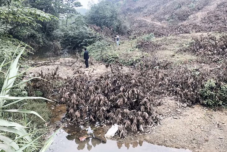 tuyến mương thoát nước ở tổ 6, tổ 8, khu 9, phường Mông Dương, TP Cẩm Phả không được nạo vét, cản trở dòng chảy khiến tình trạng ngập lụt thường xảy ra khi có mưa lớn
