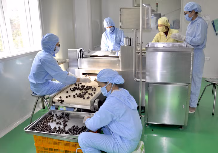 Nhà máy sản xuất thuốc của Công ty CP Dược - Vật tư y tế Quảng Ninh sử dụng các dược liệu trồng trên địa bàn tỉnh để sản xuất thuốc tham gia sản phẩm OCOP của tỉnh.