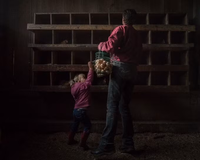 "Reaching for the Egg Basket" (tạm dịch Bỏ trứng vào rổ) của tác giả Kelley Dallas vào chung kết chủ đề ảnh Trải nghiệm nước Mỹ, chụp bé gái phụ giúp việc thu hoạch trứng gà tại một gia đình có truyền thống chăn nuôi trên 100 năm tại đảo Whidbey, bang Washington, Mỹ.