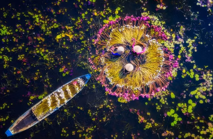 Tác phẩm Harvesting Water Lilies (Thu hoạch hoa súng) của tác giả Nguyễn Tấn Tuấn (TP HCM) vào chung kết chủ đề Du lịch, chụp những người phụ nữ rửa hoa súng trên cánh đồng ngập nước ở Mộc Hóa, Long An. Những tác phẩm vào vòng chung kết được lựa chọn từ 36.000 ảnh gửi dự thi của các nhiếp ảnh gia chuyên và không chuyên đến từ 145 quốc gia và vùng lãnh thổ trên thế giới. Kết quả chung cuộc của từng chủ đề và ảnh được bạn đọc bình chọn nhiều nhất sẽ công bố vào ngày 31/3. Người thắng "Giải thưởng lớn" sẽ nhận 2.500 USD.
