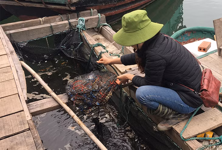 Mô hình nuôi cá song của gia đình chị Trần Thị Bích, thôn 4, xã Cẩm Hải cho thu nhập ổn định