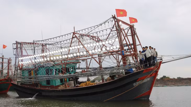 Lãnh đạo Sở Nông nghiệp và PTNT và các chuyên gia về ánh sáng kiểm tra đèn Led trước khi lắp đặt
