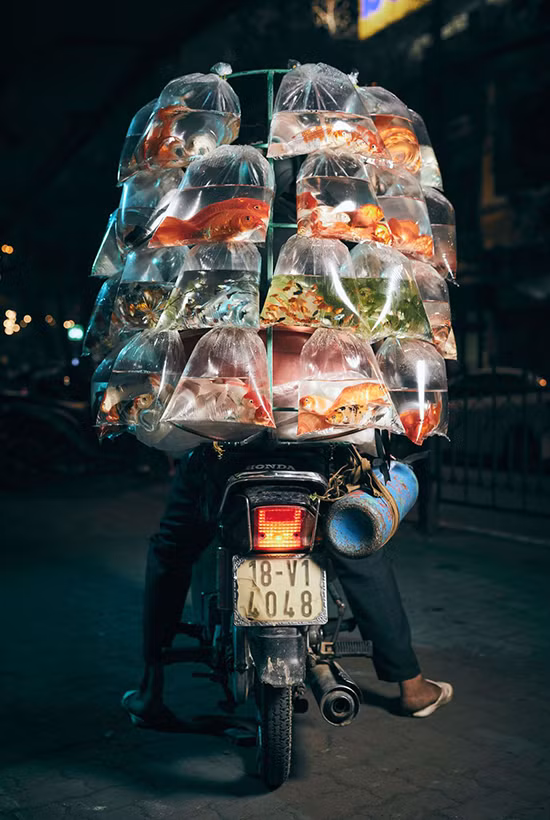 “A Fish Seller Displays His Goods” (tạm dịch Người bán cá cảnh) của tác giả Jon Enoch (Anh) vào chung kết chủ đề ảnh Du lịch, chụp những bịch cá cảnh đặt trên chiếc khung trên yên xe máy. Enoch cho biết anh đã dành một tuần để theo sát quá trình người bán vận chuyển cá trên đường phố Hà Nội và thuyết phục họ để tác nghiệp.