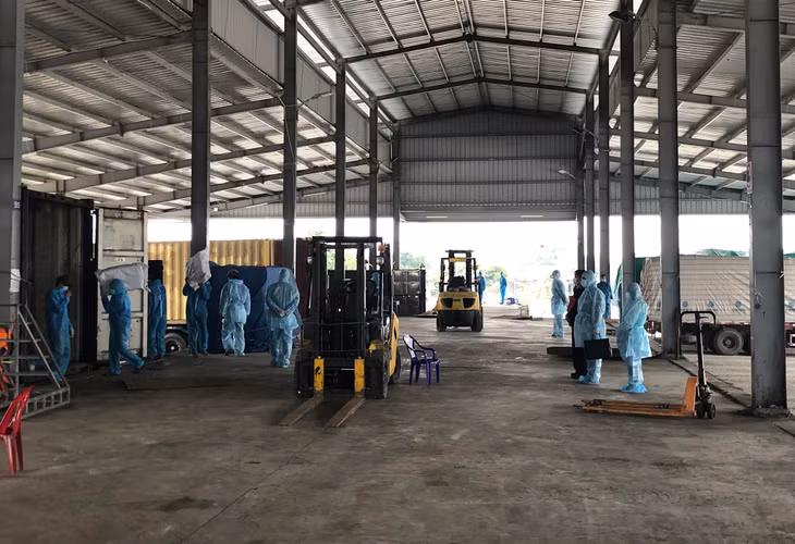 Hoạt động bốc dỡ hàng hóa tại Công ty CP XNK Quốc tế Tân Đại Dương (Móng Cái).