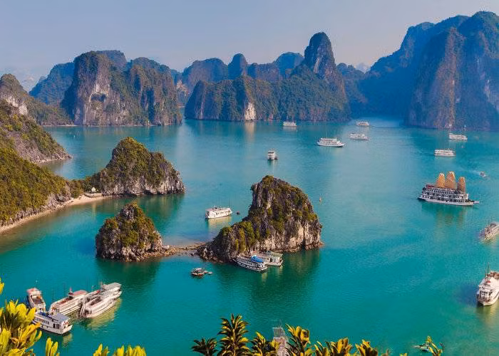 Hạ Long được thiên nhiên ưu đãi với nước non hữu tình, yên ả
